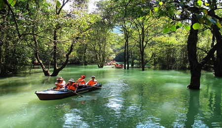 荔波水上森林