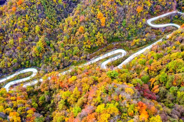 留坝最美公路2日自驾37