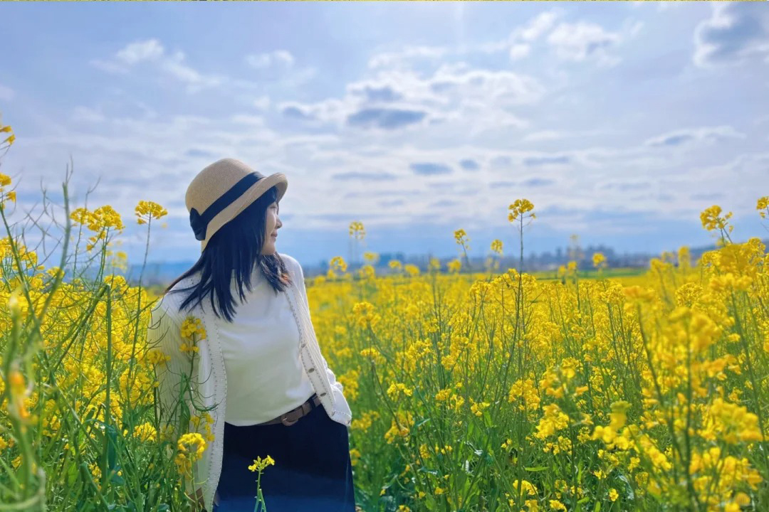 <私家团·花季汉中4日>南郑油菜花海+唐家湾油菜花+龙湾油菜花+朱鹮摄影+洋县油菜花3晚4日经典赏春线路游 | 6人VIP小团 | 全程入住4钻酒店 | 汉服美拍 | 专业鸟导协助拍摄朱鹮