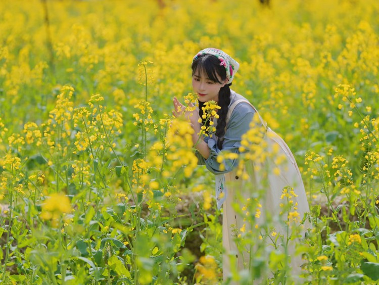 【踏春| 自驾婺源赏花季】 赏江岭梯田油菜花、看徽派建筑宏村、游皖南山水画廊、逛瓷都景德镇！7日